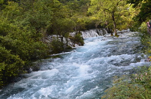 山间湍急溪流 绿意环绕