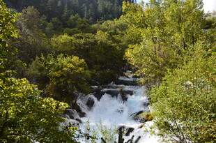 山间溪流穿林而过