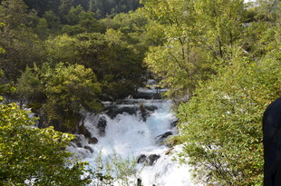 山间溪流穿林而过