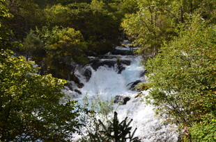 山间飞瀑伴绿意