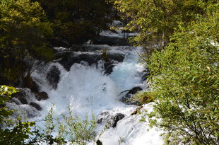 山间溪流瀑布 绿意环绕