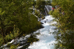 山间溪流穿行于葱郁树林