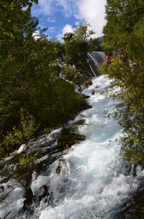 山间湍急溪流穿林而过