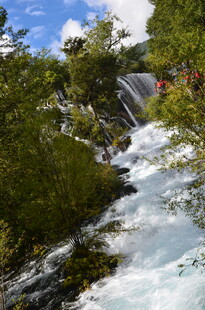 山间瀑布下的绿意景致