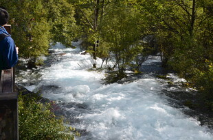 山间湍急溪流旁的观景者