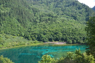 翠绿山林间的幽蓝湖泊