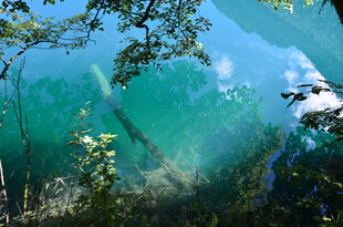 清澈湖水下的自然景象