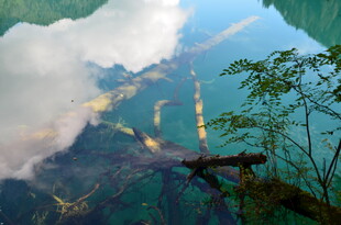 俯瞰山间绿意与云雾缭绕