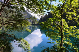 林间幽蓝湖水景致
