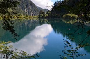 静谧湖景映山林