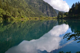 静谧湖景映山林