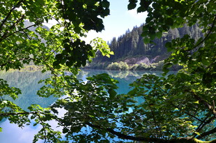 透过枝叶看澄澈湖水