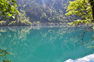 翠绿山林间的澄澈湖水