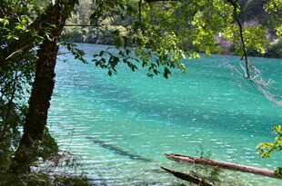 静谧蓝湖中的孤舟与绿树