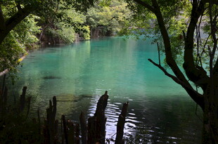 翠绿幽潭 自然静谧之景