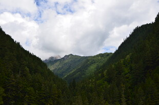 青山幽谷间的壮美风光