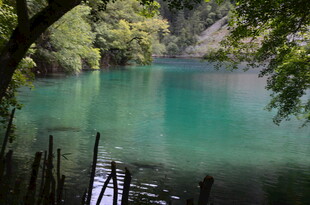 静谧湖畔的自然美景
