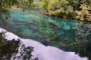 清澈碧绿的山间幽美溪流