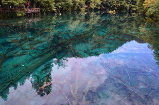 清澈碧湖倒映葱郁山林