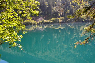 翠绿山林间的澄澈湖水