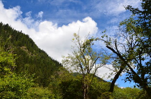 山间绿意盎然的秀丽风光