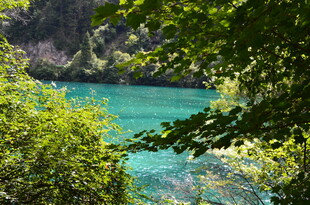 森林环绕的碧绿水潭