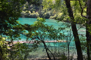 森林间的碧绿清澈湖水