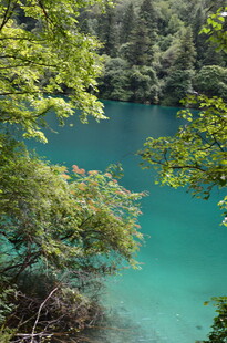 幽美湖景 绿意环绕的自然