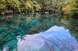 清澈蓝绿湖水与周边山林