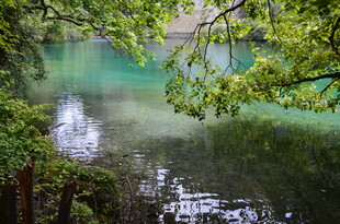 林间碧湖 绿意盎然的美景