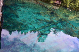 清澈湖水倒映岸边景致