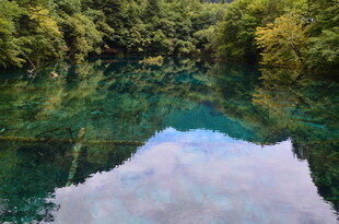 清澈湖水映山林美景