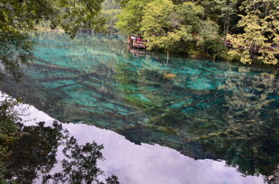 清澈碧绿的山间幽美溪流