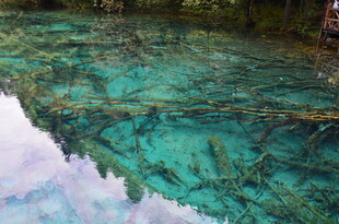 清澈见底的水下奇妙世界