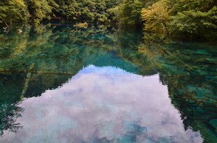 清澈湖水映蓝天绿树