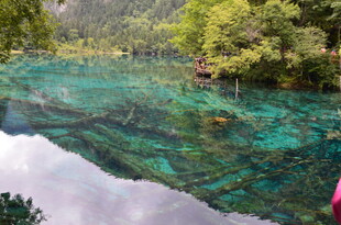 九寨沟清澈斑斓的湖水