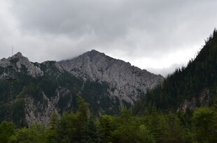 云雾缭绕的山林景观