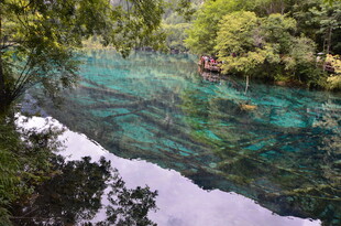 清澈碧绿的山间幽美溪流