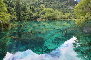 梦幻清澈的山林幽潭