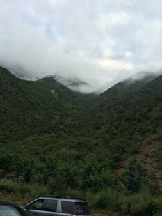 山间云雾缭绕的绿色景致