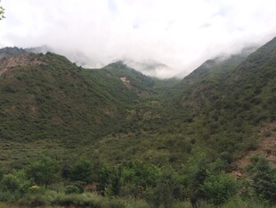 云雾缭绕的翠绿山峦