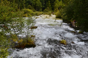 山间湍急溪流 绿意环绕