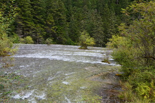 山间溪流 绿意环绕的美景