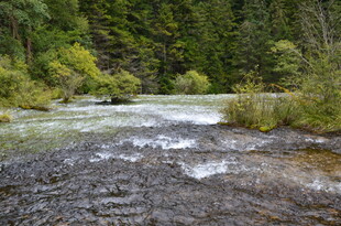 山间溪流 绿意环绕的美景