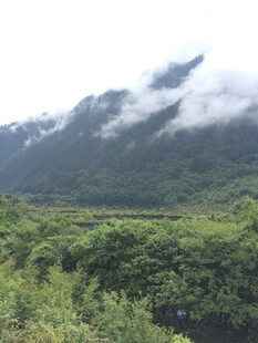 云雾缭绕的山间绿野风光