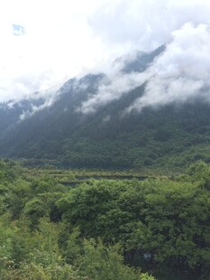 山间绿野云雾缭绕美景