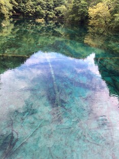 清澈湖水倒映山林美景