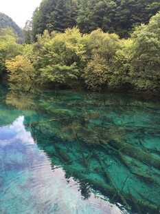 清澈碧绿的山间幽潭