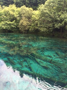 清澈碧绿的山间幽潭