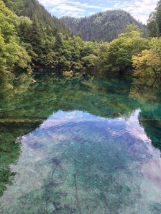 清澈山谷中的碧绿幽潭